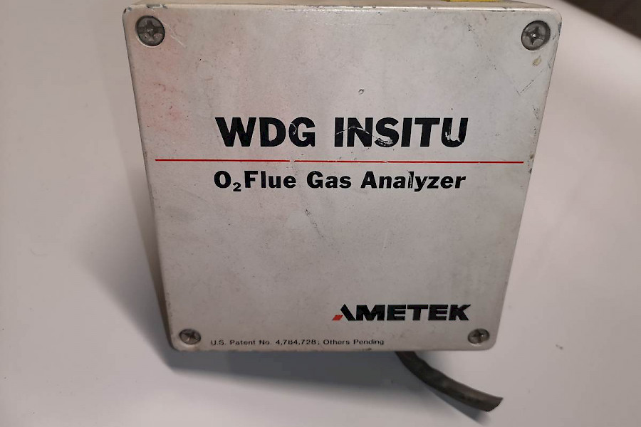 Ametek WDG INSITU